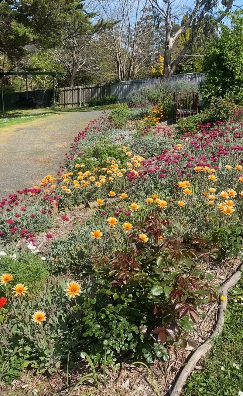 Spring 2023 Newsletter